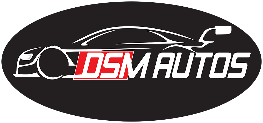 DSM LOGO